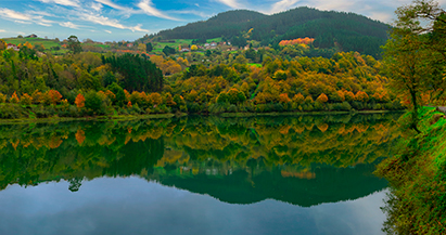 ¿Sabías que el cambio climático puede cambiar el color del otoño?